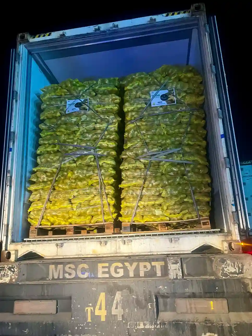 Egyptian Fresh Potatoes — Washed Export Grade — 3