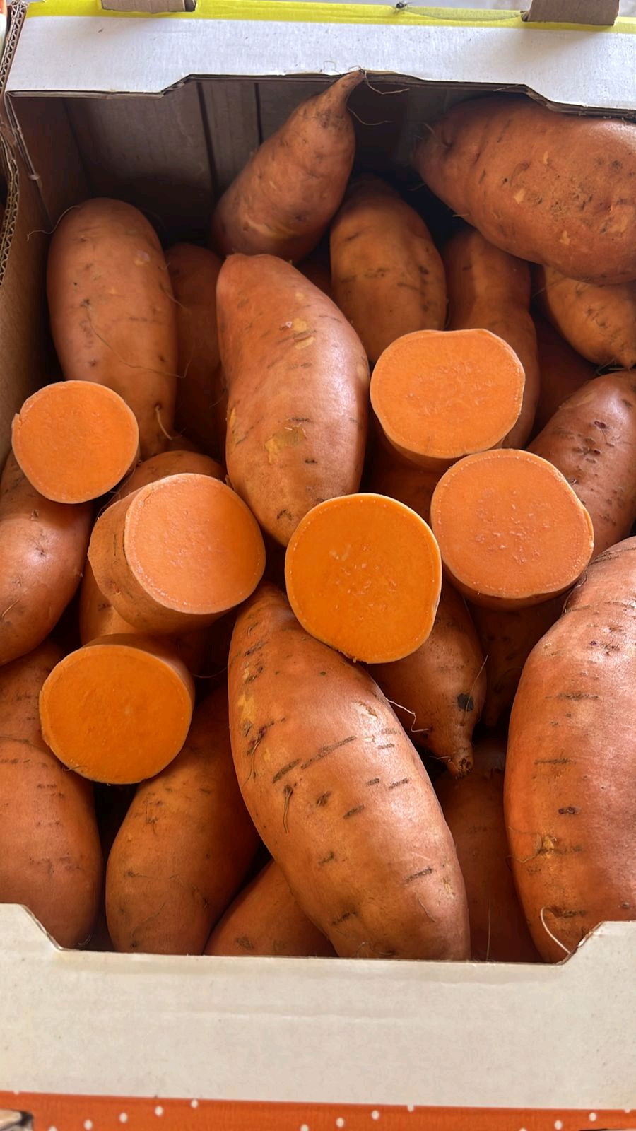 Egyptian Fresh Sweet Potatoes — Beauregard Export Grade